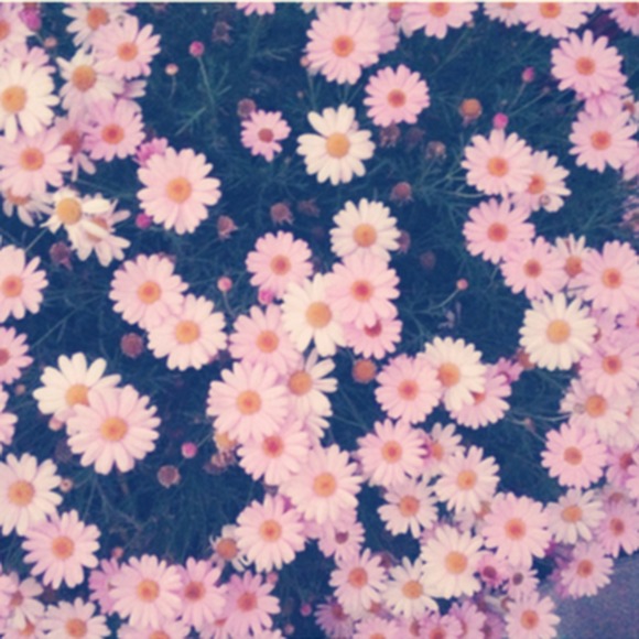 Meet your Posher, Cindy - Picture 1 of 1